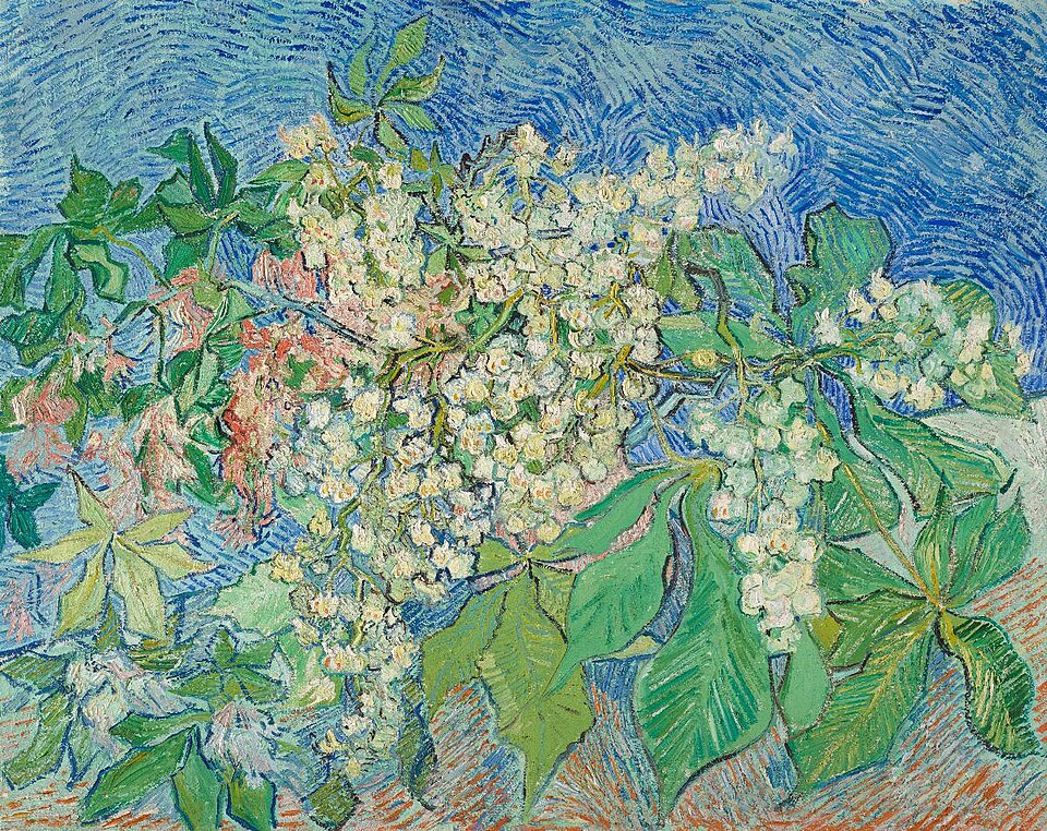 Blossoming Chestnut Branches