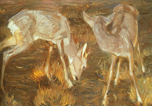 Deer at dusk
