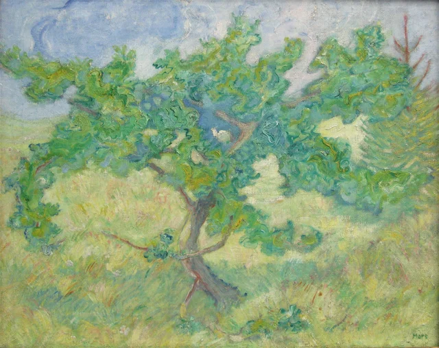 Little oak tree