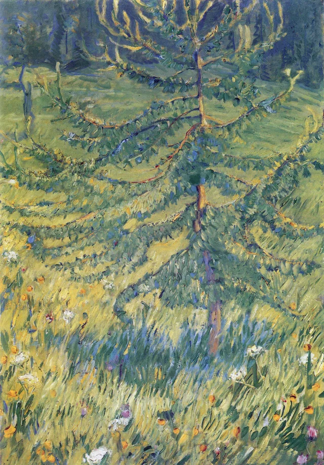 Little larch tree
