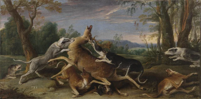 La caccia al cervo