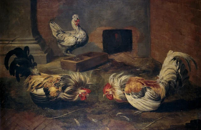 Gallinero