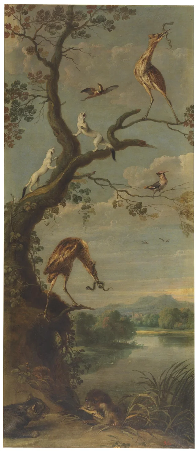 Waterfowl and Stoats