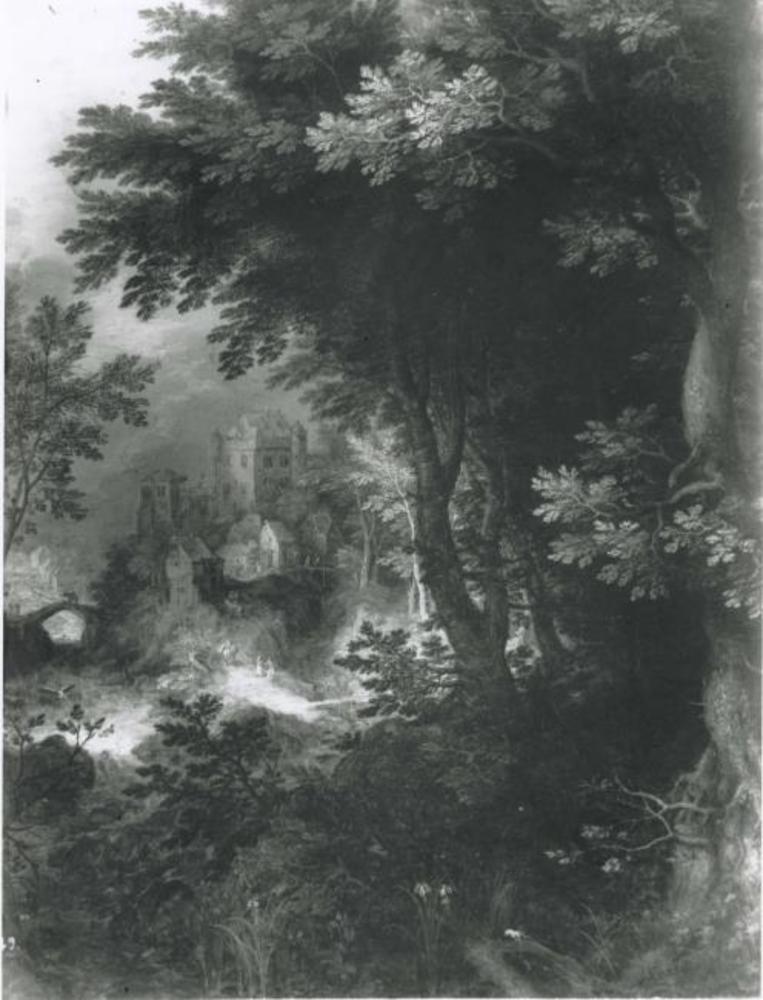 Landscape