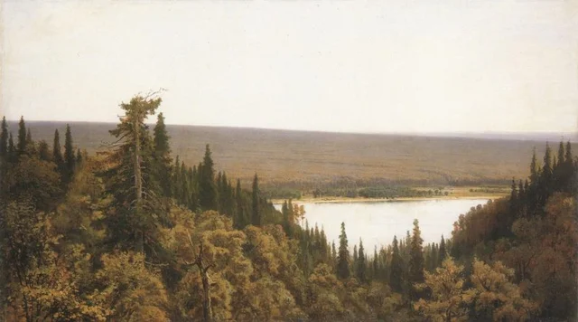 Fir Forest on the Kama River