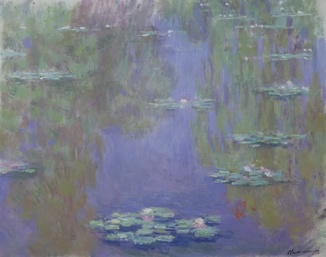 Water Lilies