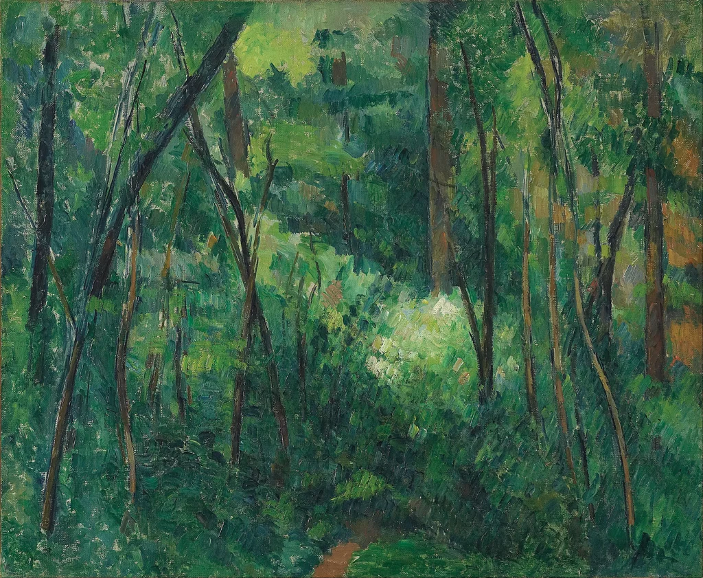 Intérieur de forêt