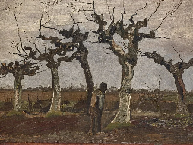 Paesaggio con salici capitozzati