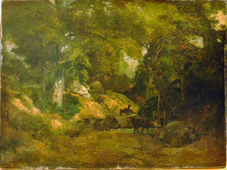 The Stag in the Forest