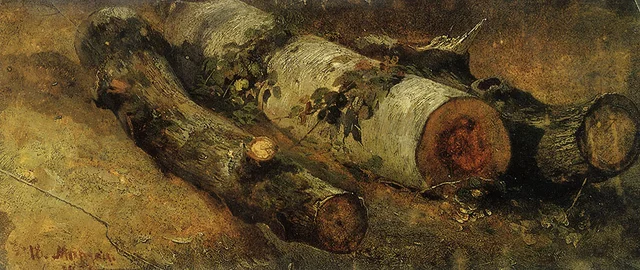 Cut-down Birch-trees