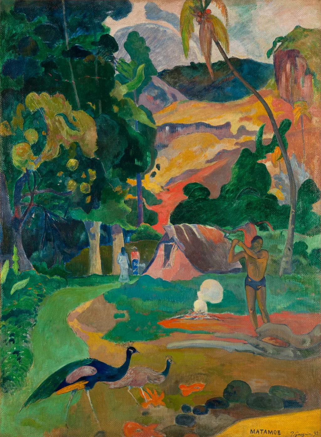 Matamoe (la Morte), paesaggio con pavoni