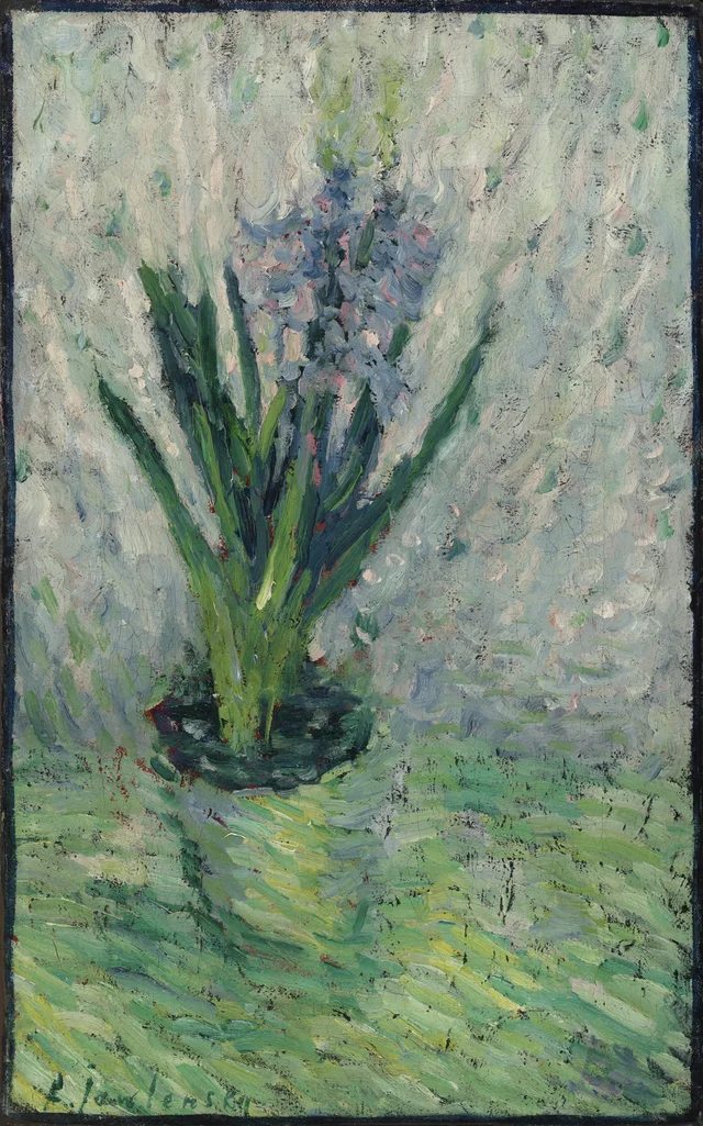 Hyacinth