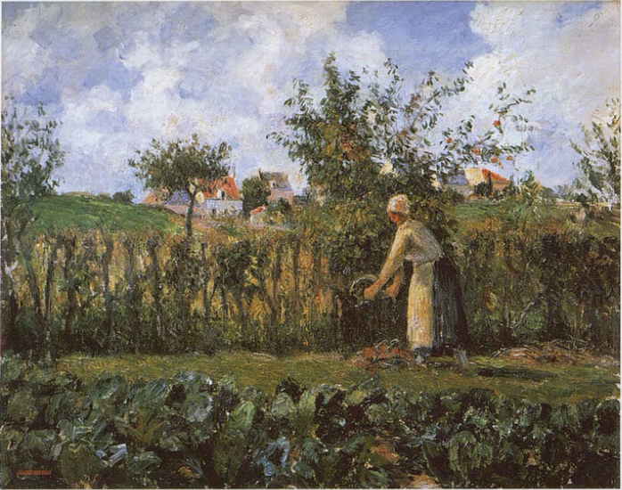 In the vegetable garden