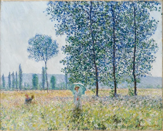 Peupliers au soleil