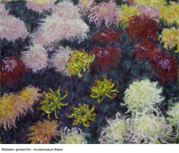 Bed of Chrysanthemums