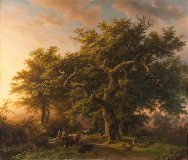 View in the Woods