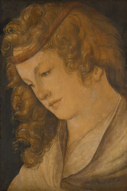 Sanguine Temperament (so-called Head of a Woman)