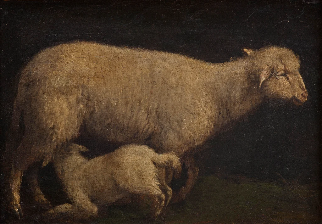 Sheep and Lamb