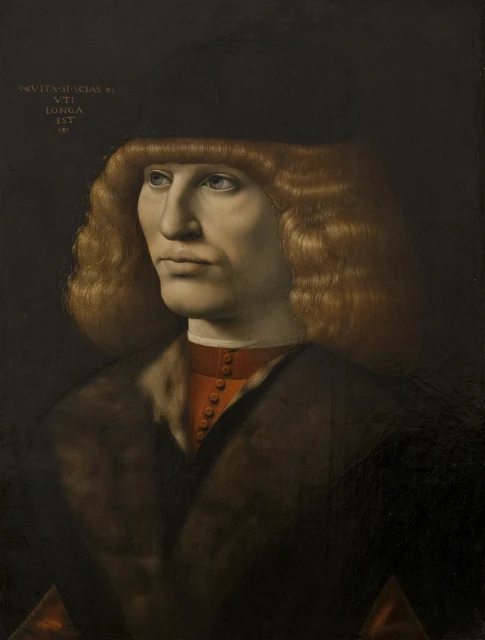 Portrait of a Young Man