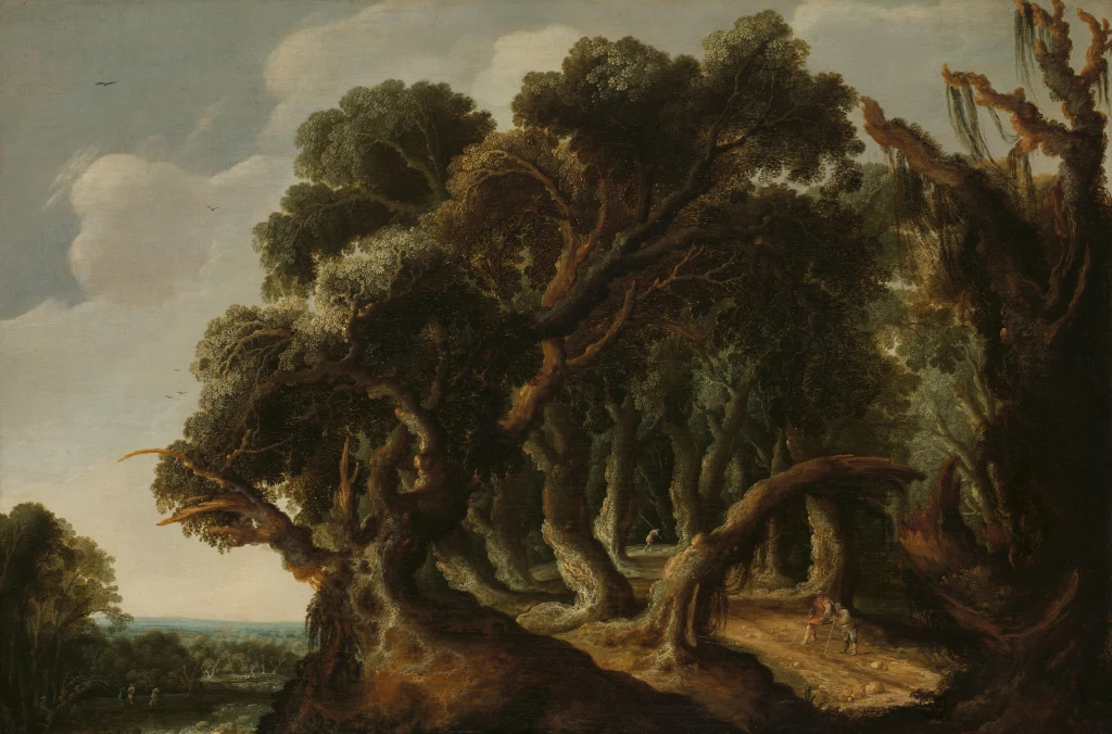 Wooded Landscape