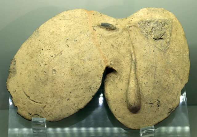 Terracotta Model of a Liver from Falerii