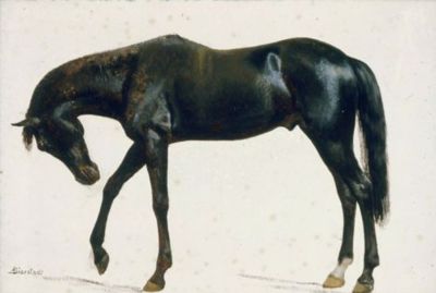 Black Horse