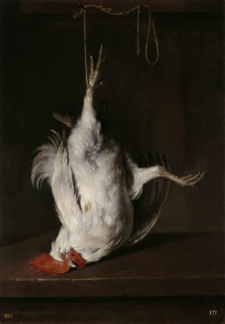 Dead Cock