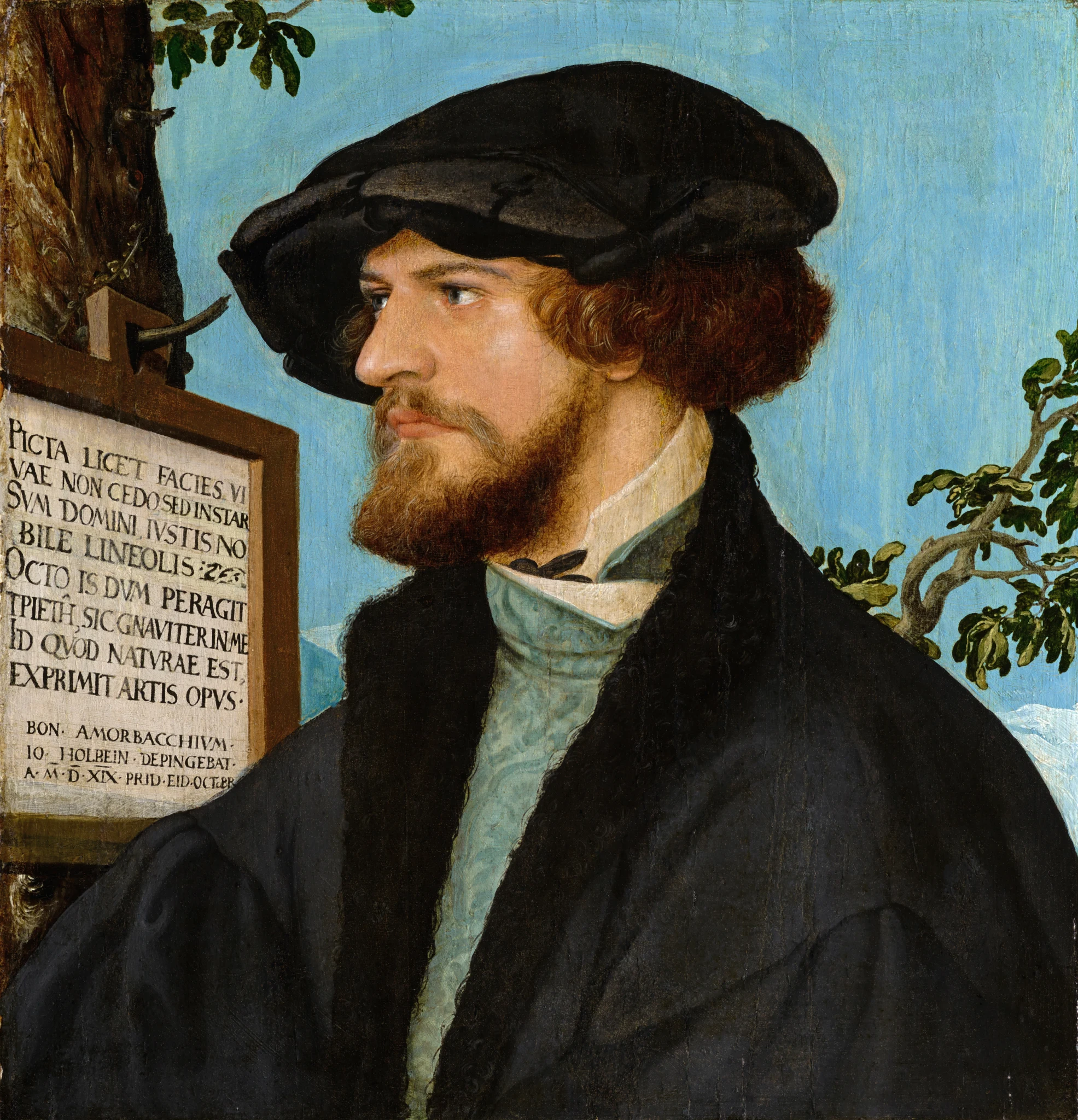 Retrato de Bonifacius Amerbach