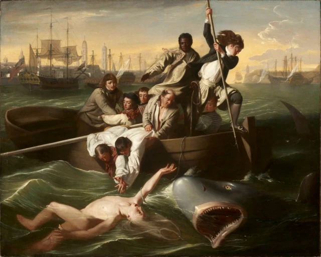 Watson and the Shark