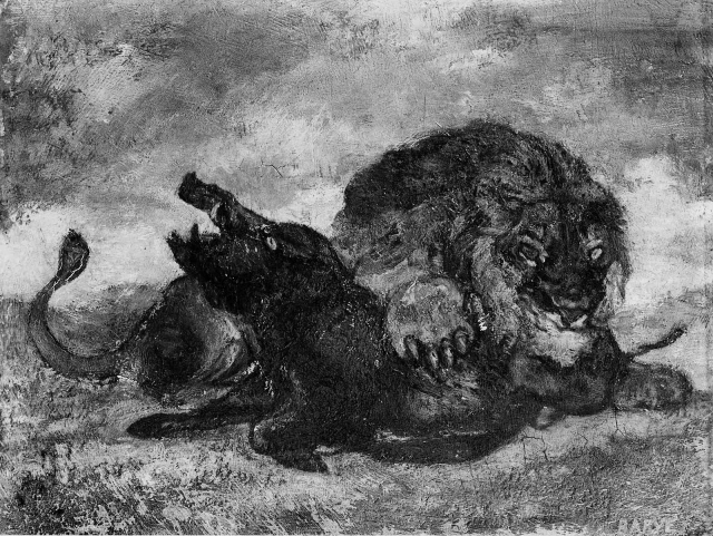Leone e cinghiale