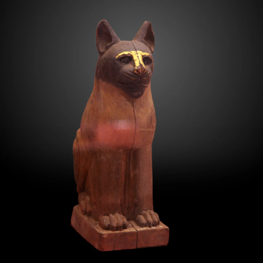 Cat Coffin