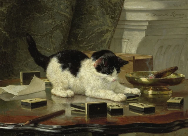 Il gatto che gioca