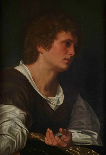 Bust of a Young Man
