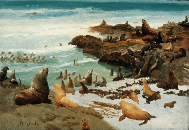 Rochedos das focas, ilhas Farallon