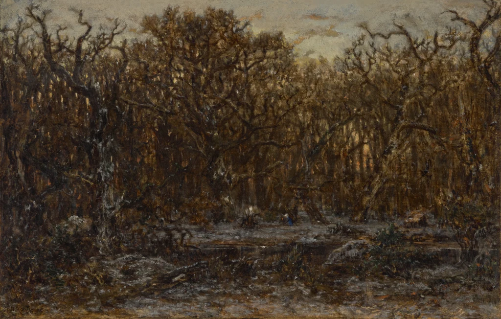 Forest at Sunset in Winter