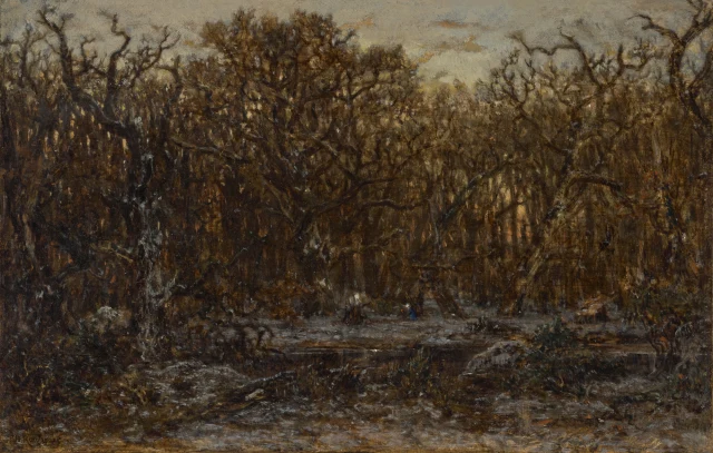 Forest at Sunset in Winter